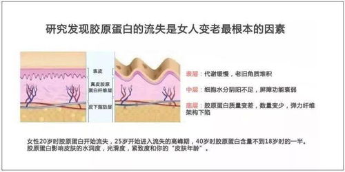 愛美愛健康女性請注意 川沙膠原蛋白飲品工廠雙11限量內購會，飲品0.5折起，內衣及配件超值熱銷